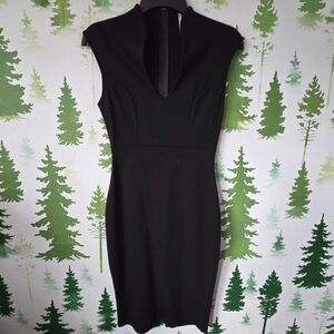 Black Glare Sleeveless Dress.